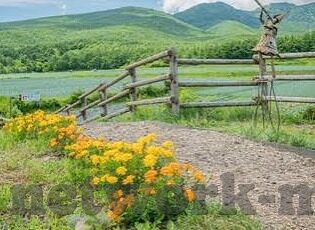 麻豆系列视频-麻豆系列视频,互联网时代下的文化与伦理边界探讨
